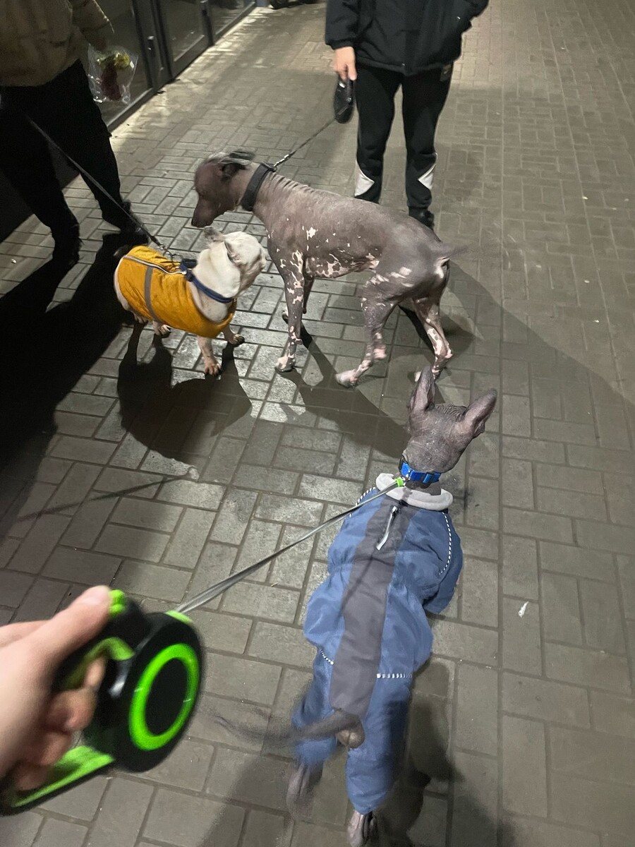 Встреча братьев