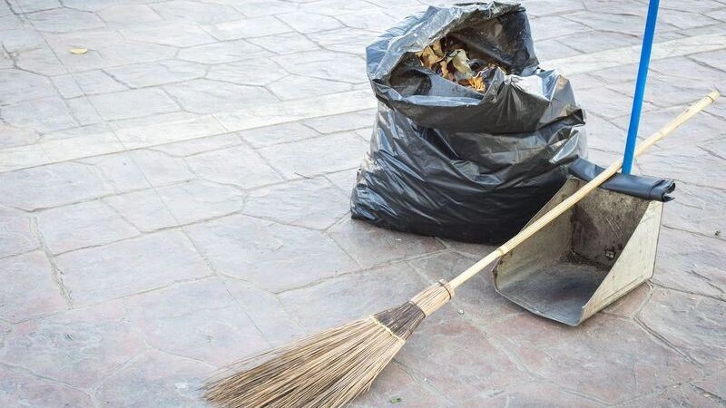    Фото: SKT Studio/Shutterstock/Fotodom