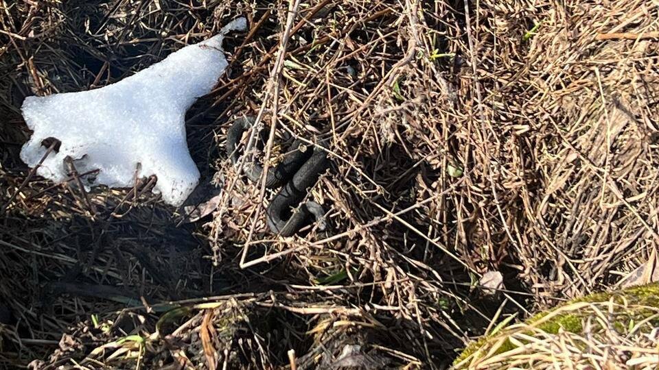    Фото: t.me/rpn_szfo