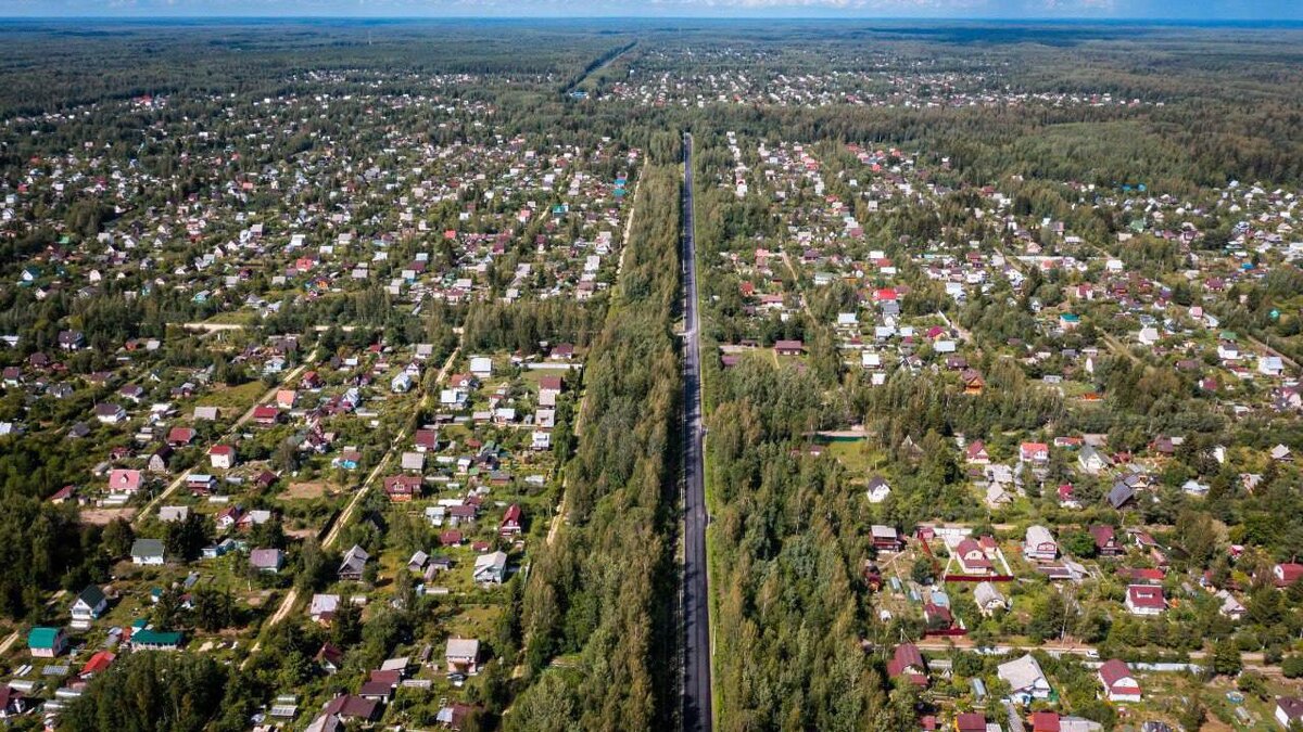    Фото: t.me/lenobladminka