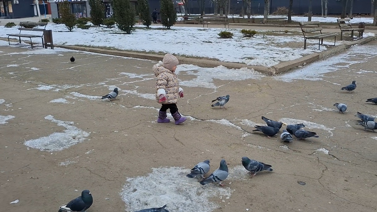 Мариуполь 2025г.