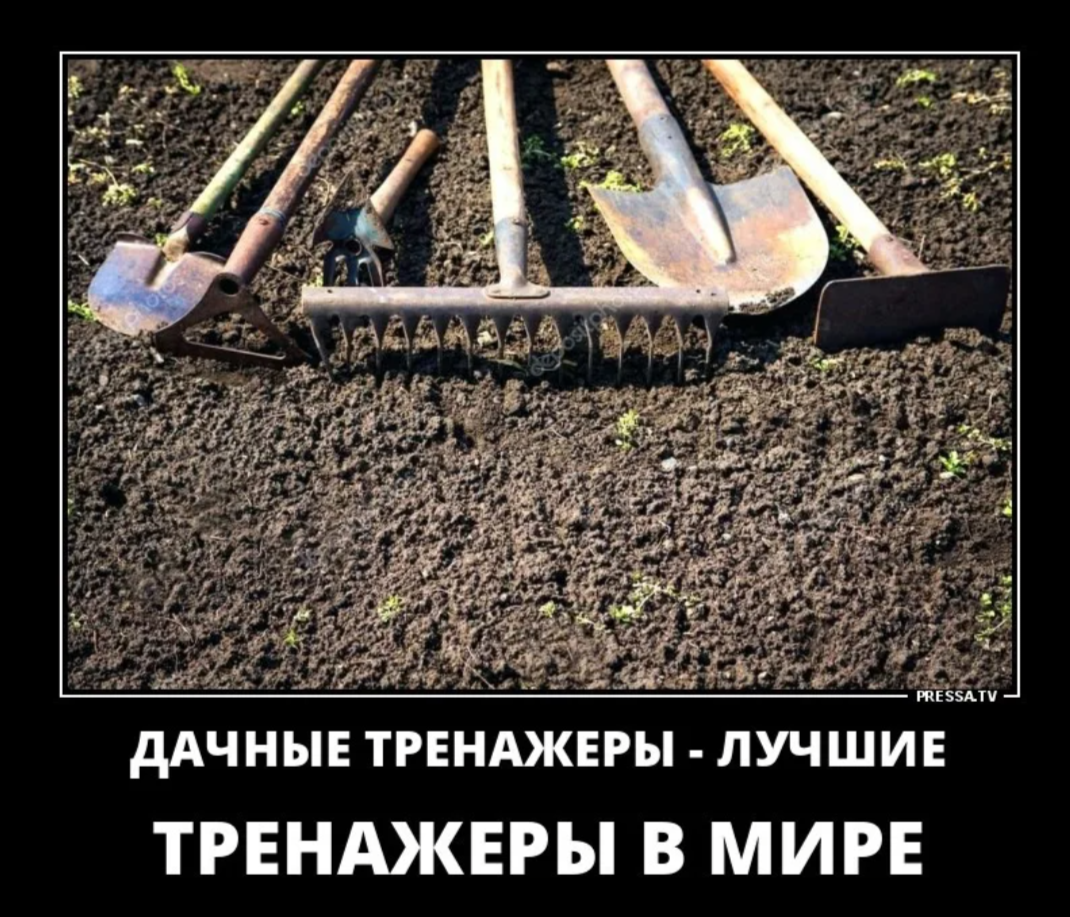 Из интернета (свободный доступ)