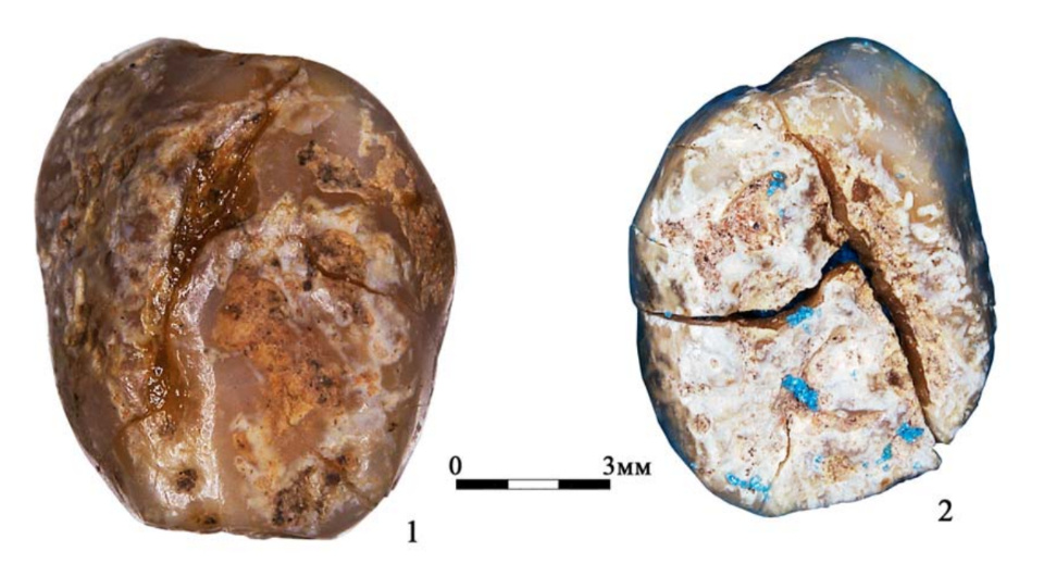   Наталья Харламова; Александр Бессуднов и др. / Stratum plus, 2025
