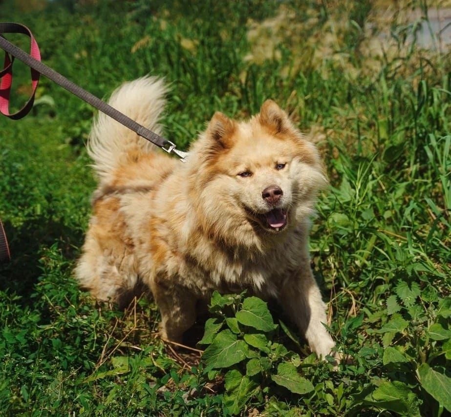 Энергичный и позитивный!