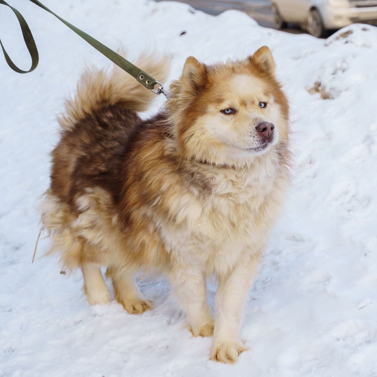 Будет самым перданным другом!