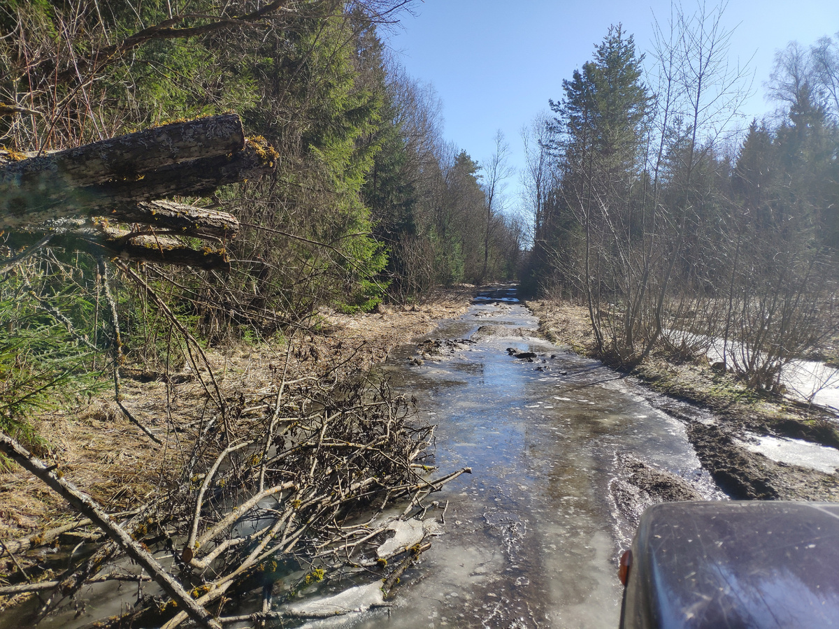 Начало маршрута, остатки льда