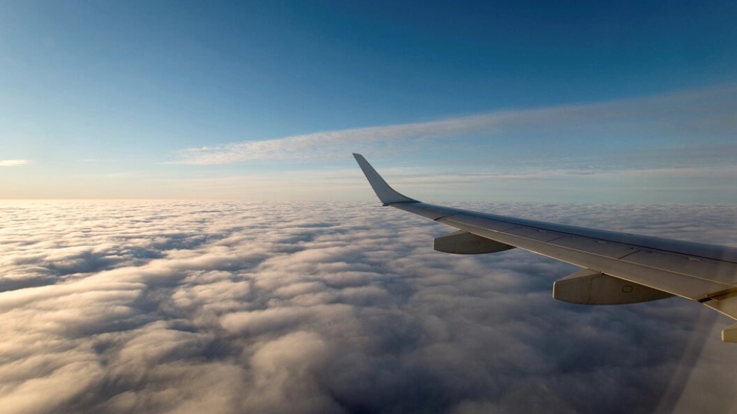    Фото: Nikolay Gyngazov/Globallookpress