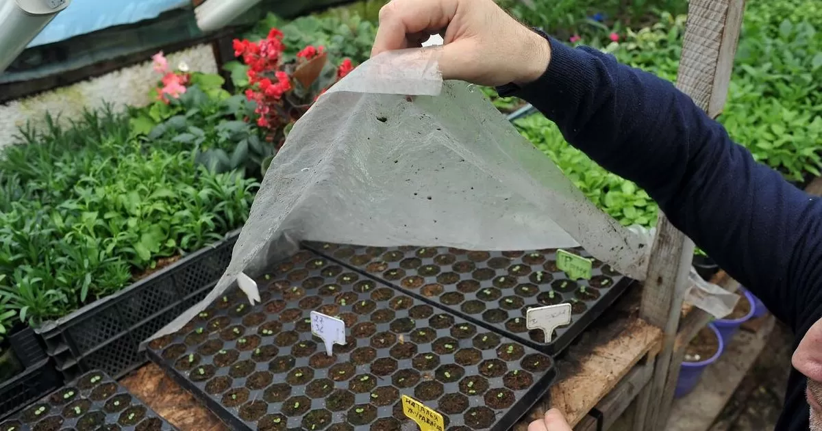 Алексей Сухоруков / РИА Новости