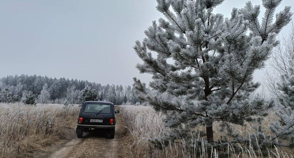    пресс-служба Комитета лесного хозяйства Московской области