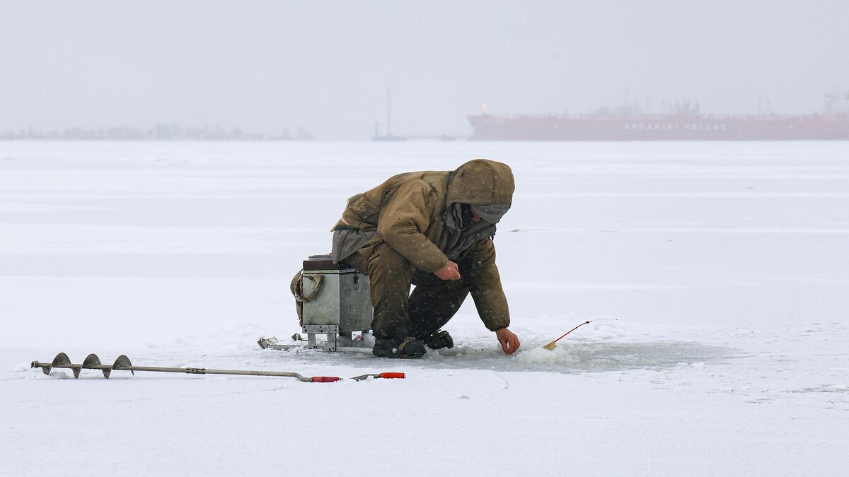    Фото: Artem Priakhin/globallookpress.com