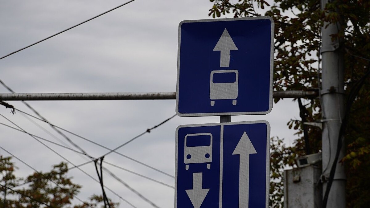    Фото: телеканал «Краснодар»