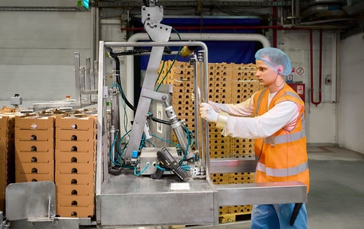    Агроэкспорт Московской области с начала года увеличился более чем на 50 процентов в стоимостном выражении