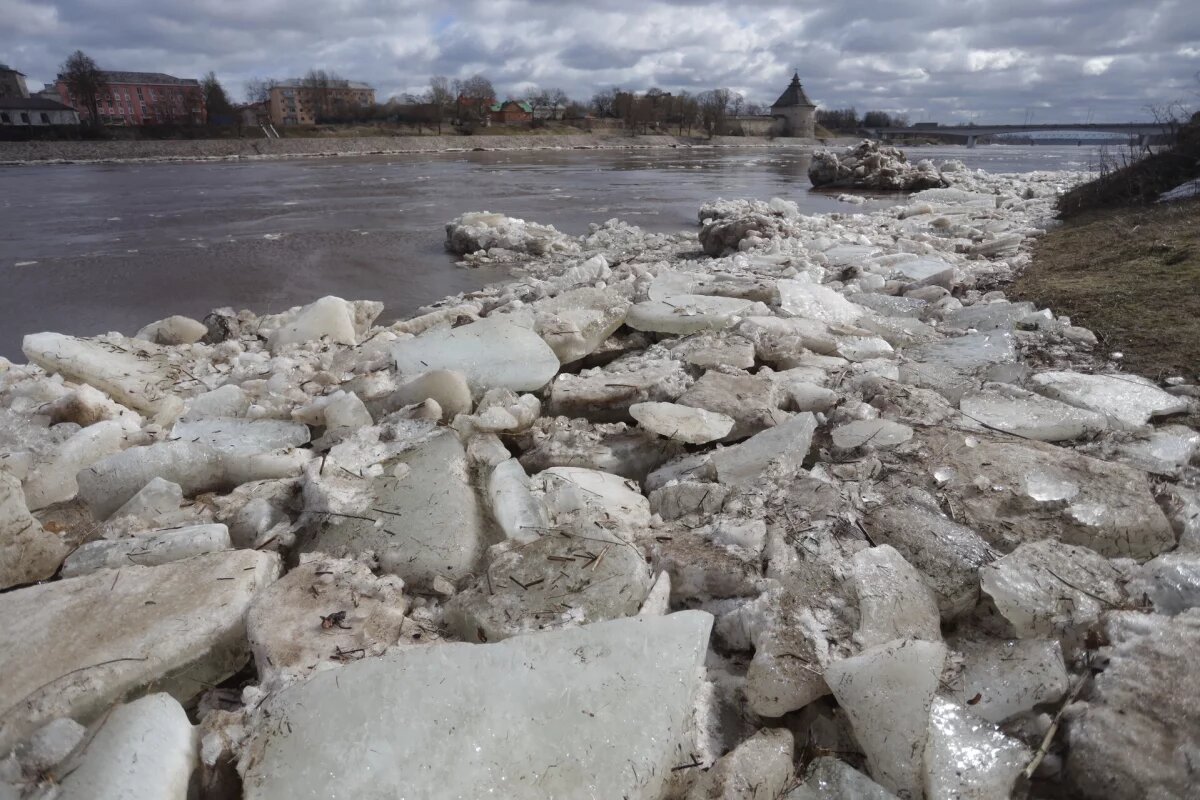    Ледохода в Псковской области в этом году не ожидается