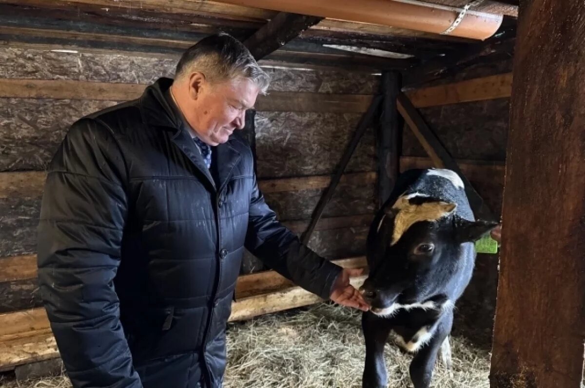    Депутат области Николай Дементьев напоминает, что средства соцконтракта не нужно возвращать.