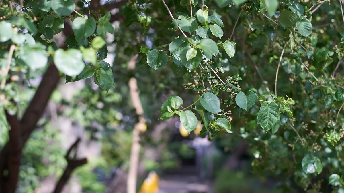 © photo: Sputnik / Stringer