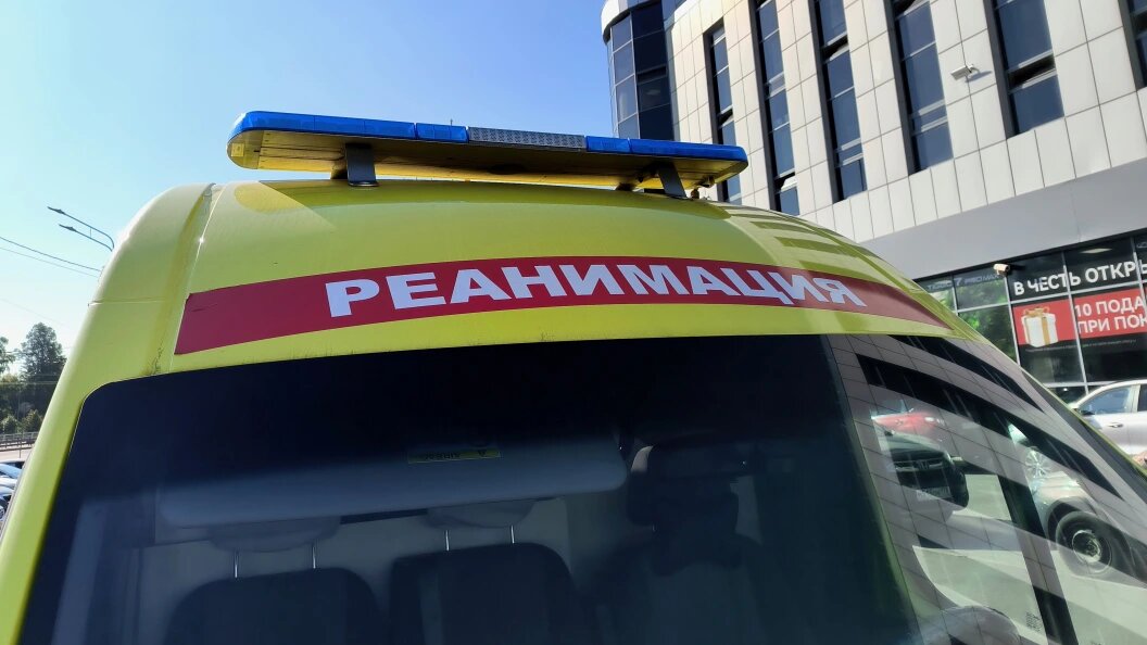    Фото: Maksim Konstantinov/Globallookpress