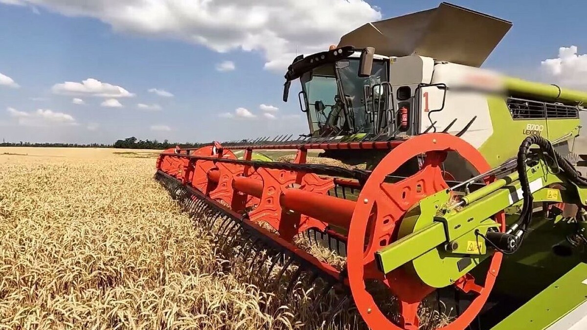    Фото: телеканал «Краснодар»