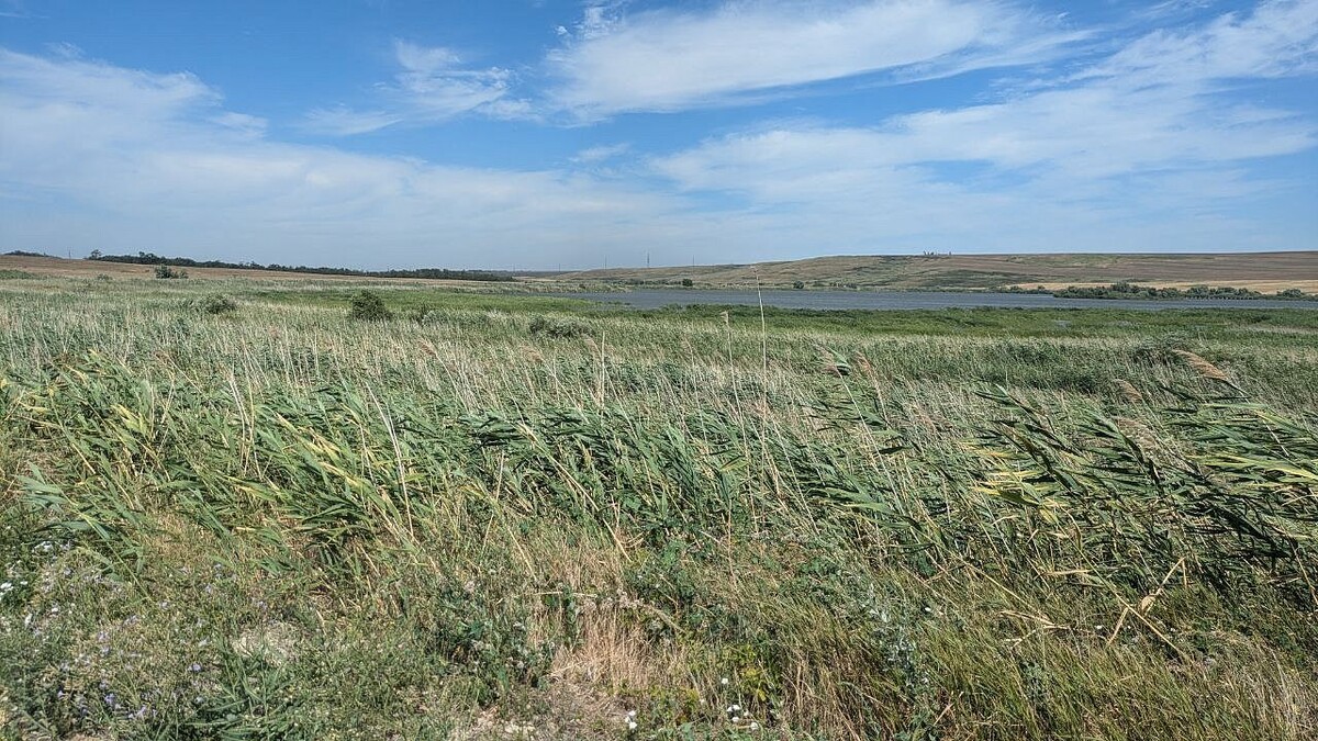    Фото: телеканал «Краснодар»