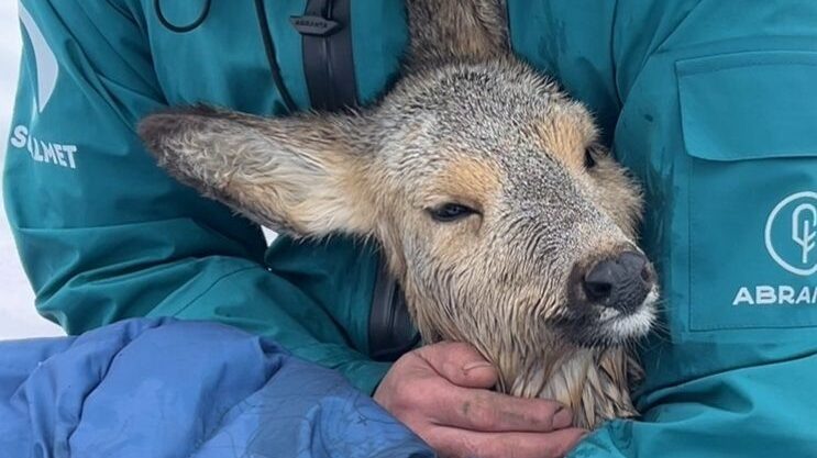    Фото предоставил сап-инструктор Денис Алексеев
