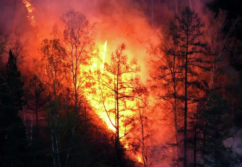     © РИА Новости. Илья Наймушин