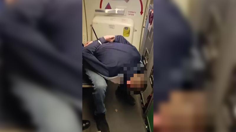    Фото: t.me/mvdszfo