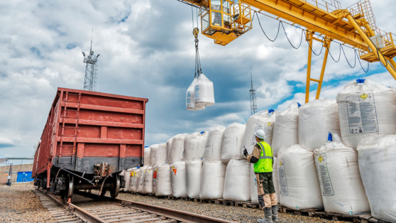    Экспорт минеральных удобрений из РФ к 2030 году может вырасти почти на 40% ©Nordroden / Shutterstock / Fotodom