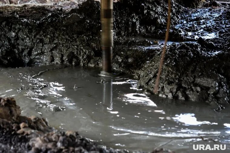 Московский инвестор может заняться добычей редкоземельных металлов в Курганской области. Фото: Екатерина Сычкова © URA.RU