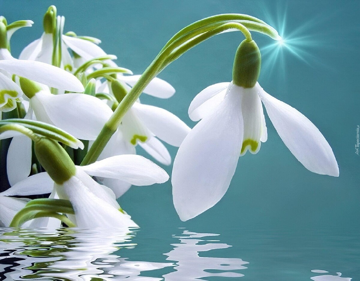 С началом весны, друзья!