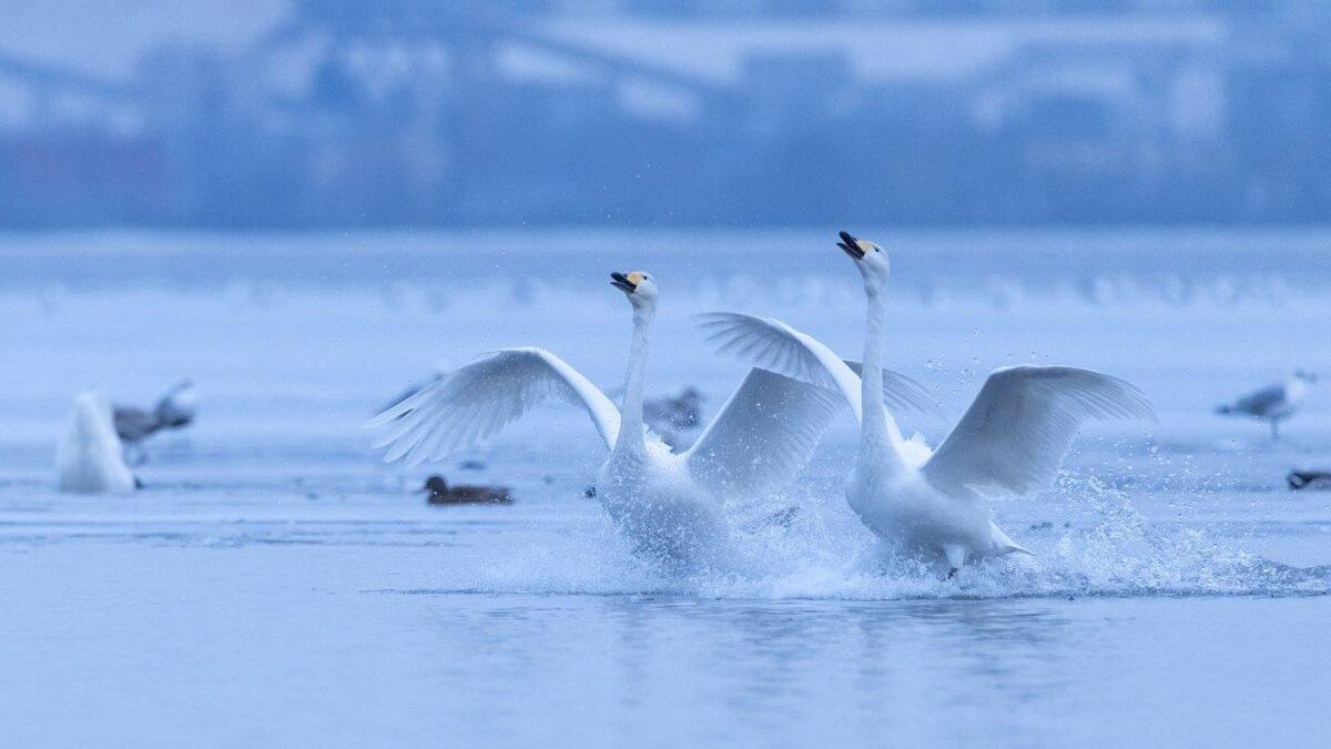    Фото: t.me/astrophotoboloto