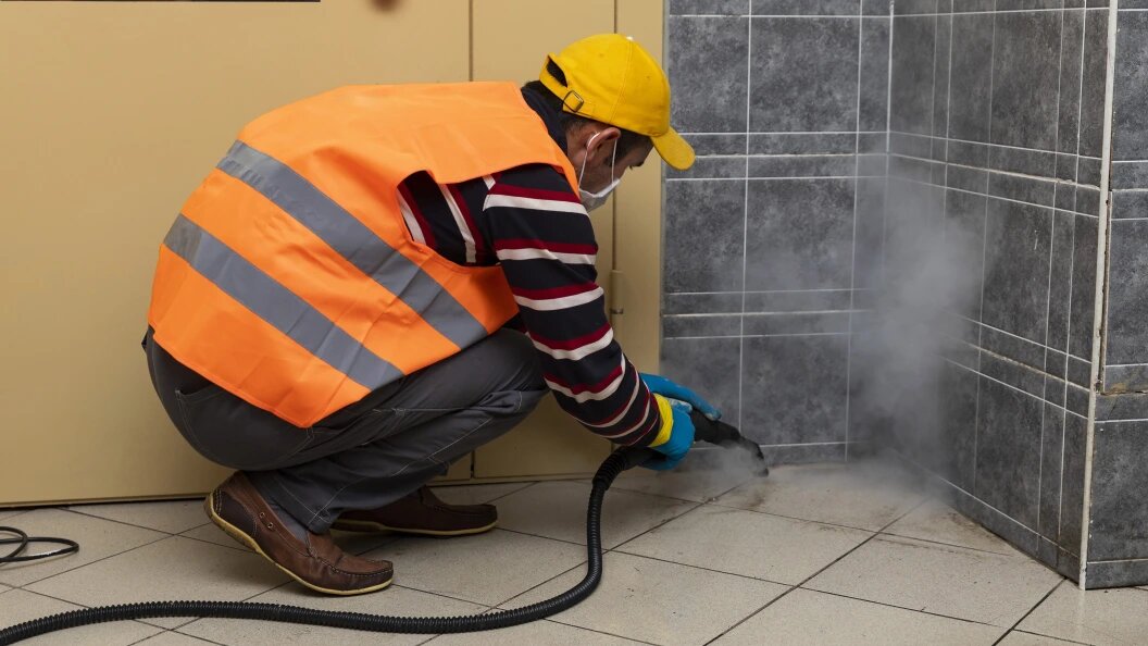    Aleksey Smyshlyaev/Globallookpress