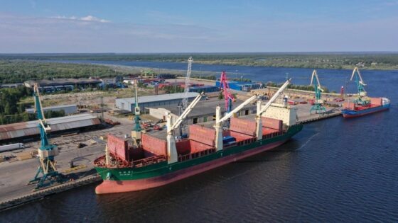     Фото: телеграм-канал губернатора Архангельской области