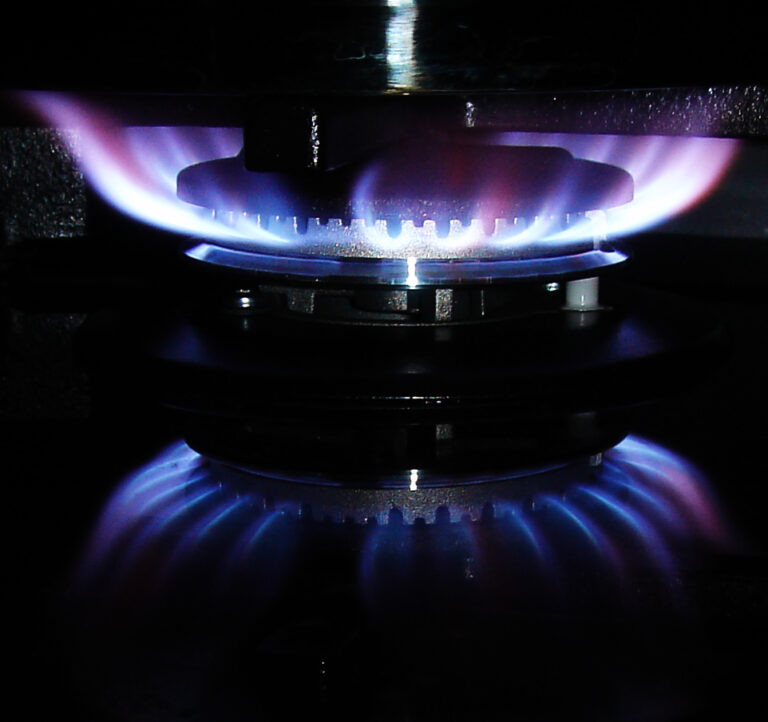    Фото: flickr.com / www.trek.today Софья Метелёва