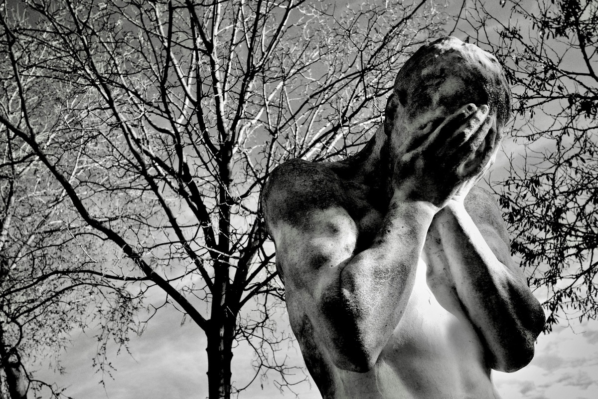 Фото с бесплатного фотостока https://unsplash.com, автор Tomás Robertson