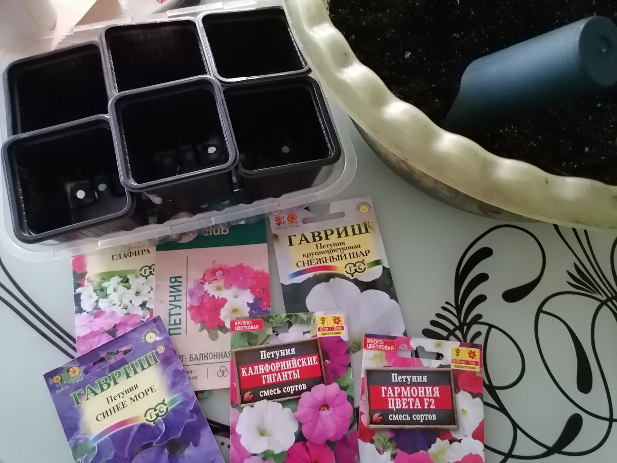 К посеву петуний готова, фото автора