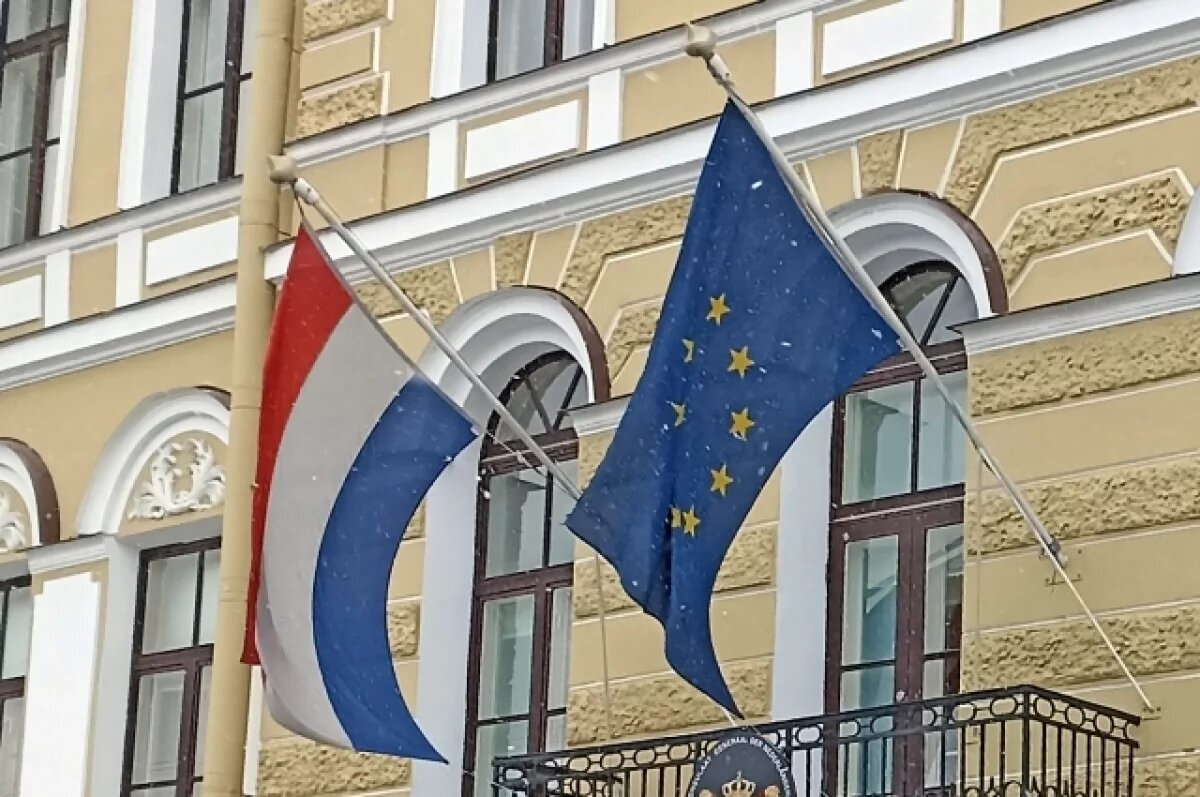    Нидерланды выступили против участия в перевооружении Европы