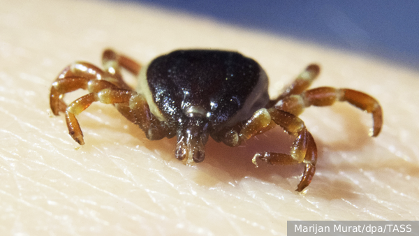     Фото: Marijan Murat/dpa/TASS   
 Текст: Дарья Григоренко