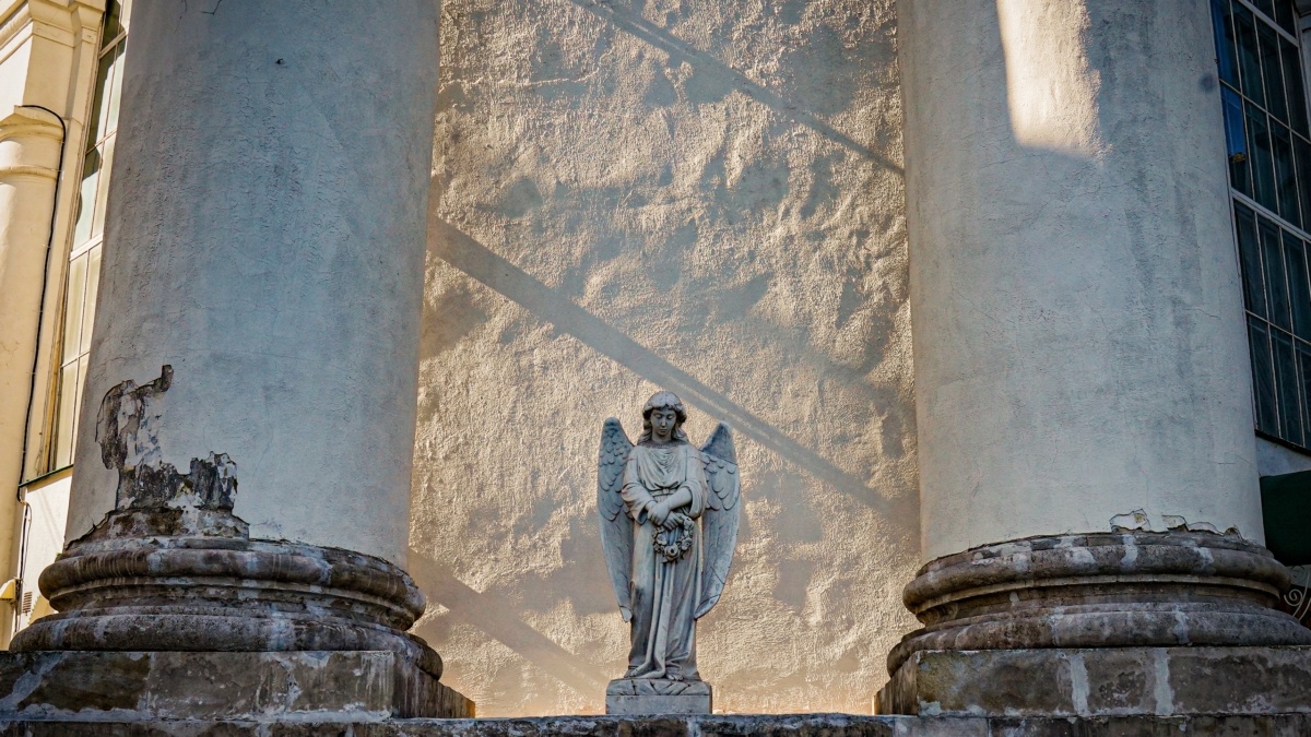 Светлана Мулыкина📷
