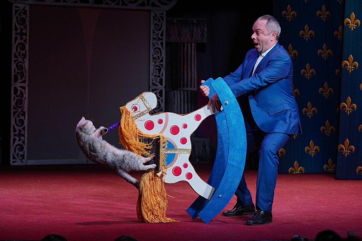 © АГН "Москва"
Театр кошек Куклачева тоже входит в пилотный проект с новыми правилами покупки билетов и прохода на спектакли.