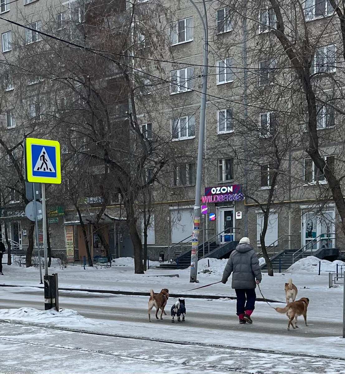 Фото Бобровкиной-Морковкиной