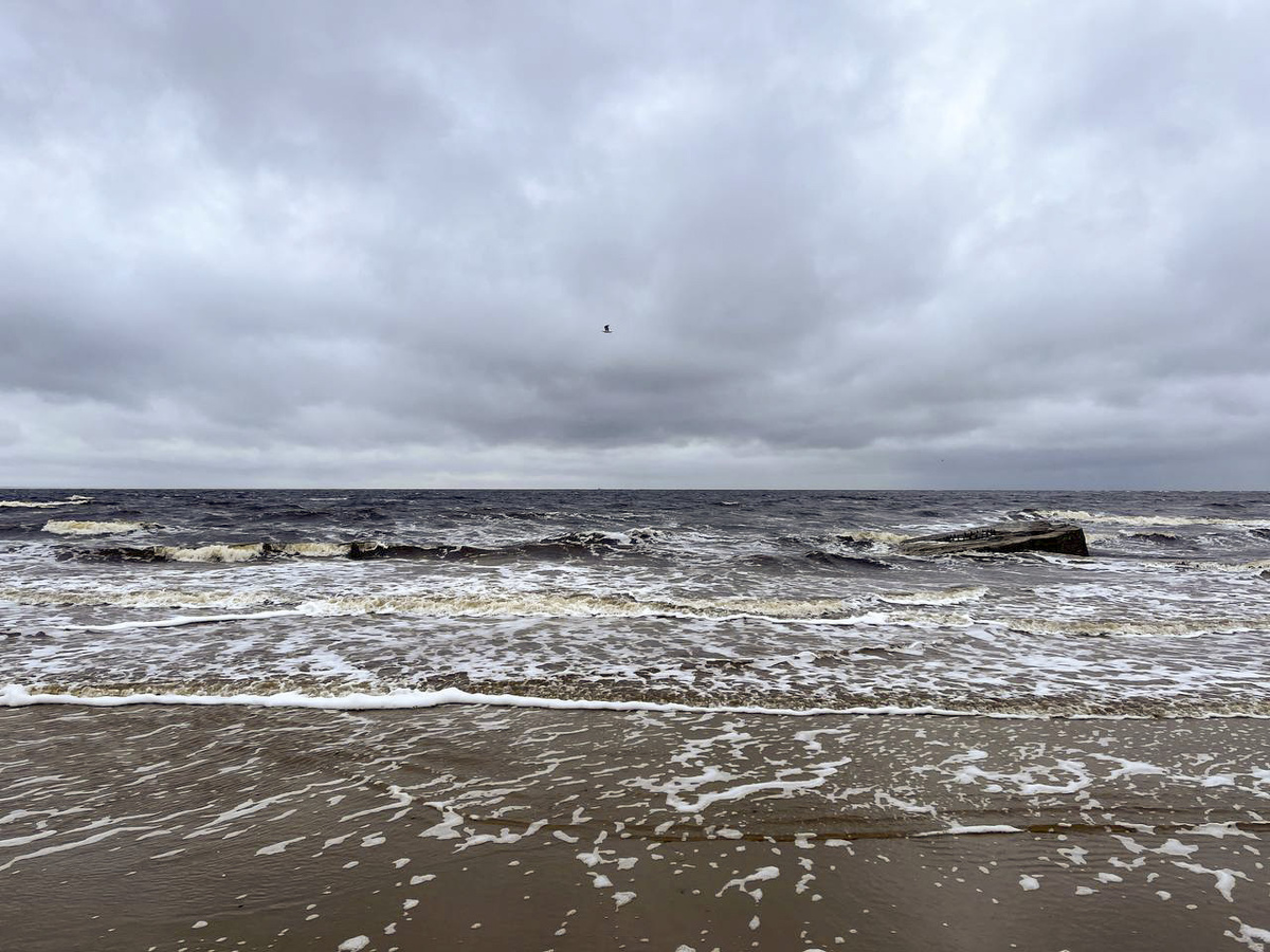 Море необходимо очищать и дальше.  Фото: Фото: ФедералПресс / Анна Крючкова
