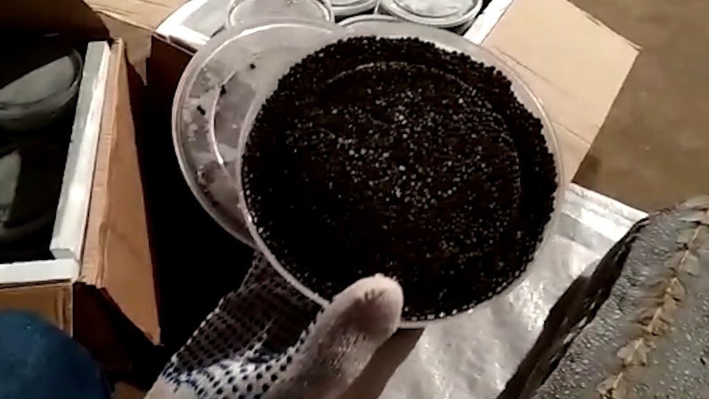 РИА "Новости"