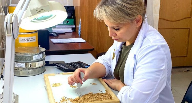    Курская область расширяет географию агроэкспорта