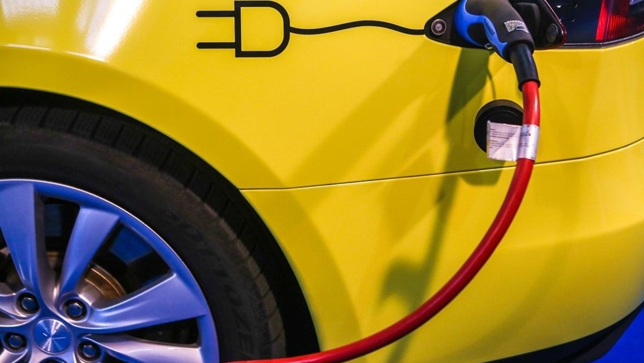    Автор фото: Сергей Коньков