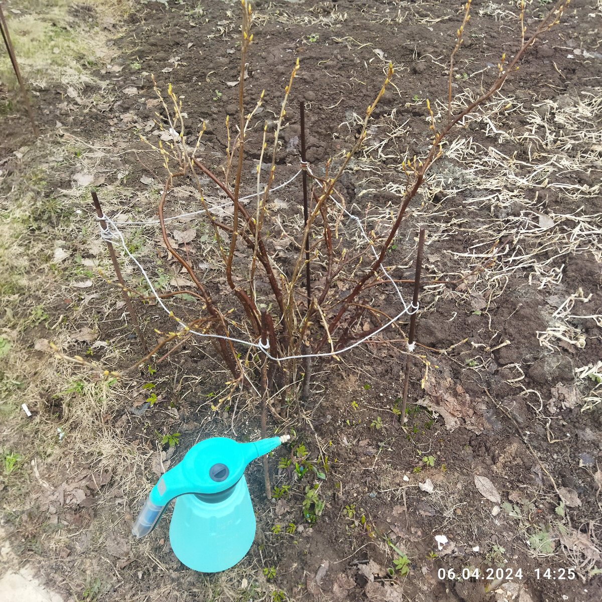 фото 6 апреля 24 года