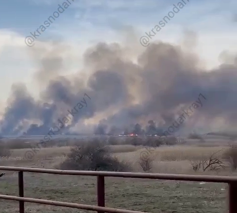    Фото: соцсети