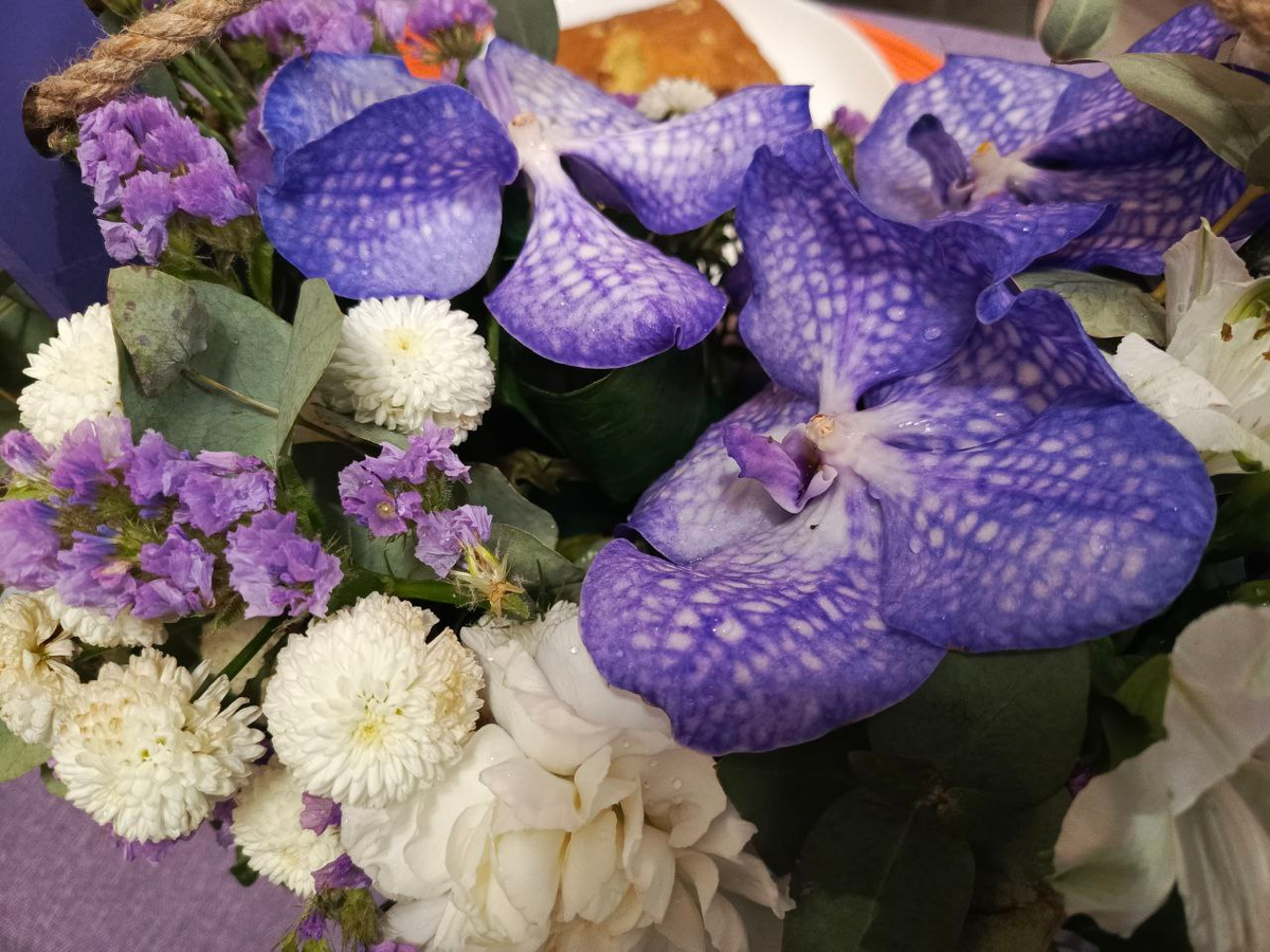 Из личного архива Анжелики Стражковой, 2025