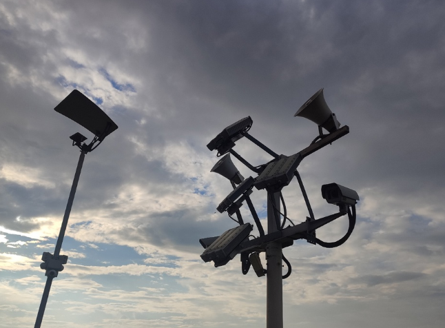    Екатерина Елисеева