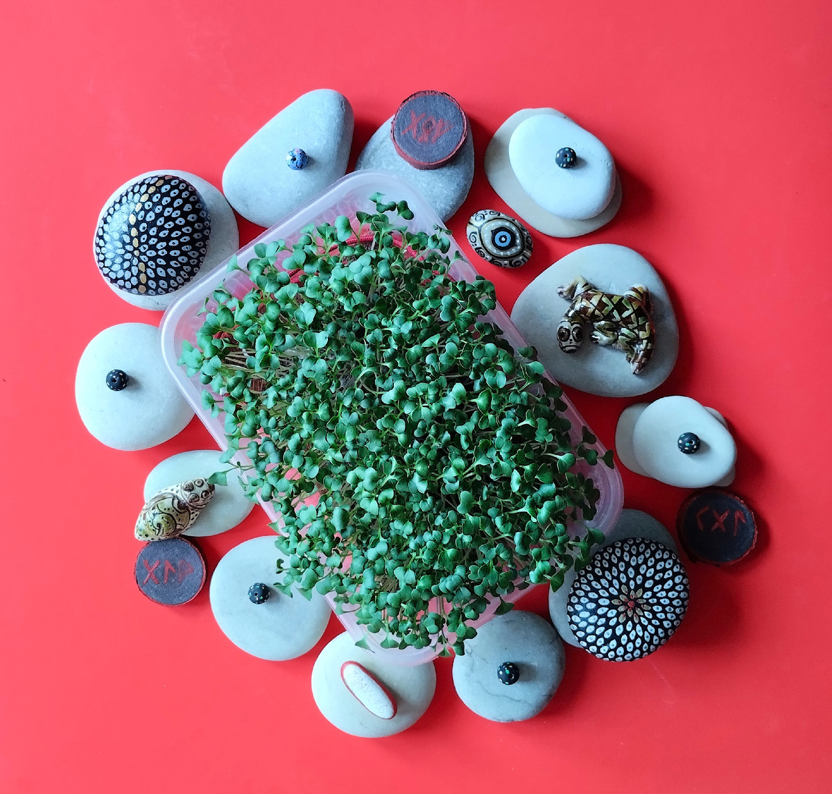 Микра на джуте.