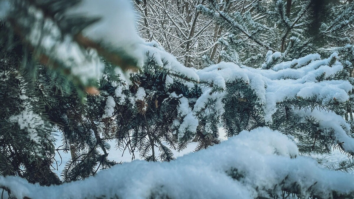     Источник: 1MI