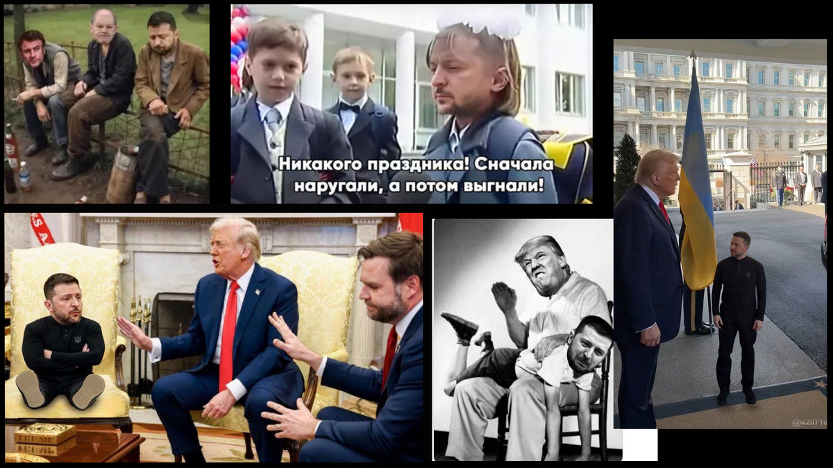 Мемы, связанные с событием 28 февраля 2025 года